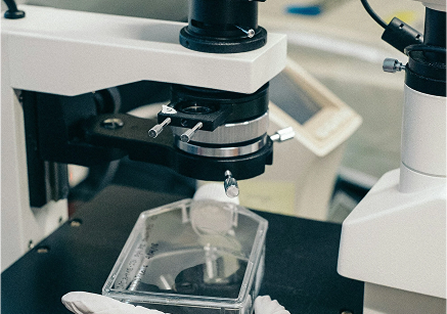 Lab Services